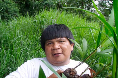 rolim-de-moura